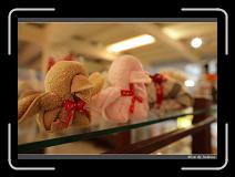 IMG_0045 * 850 x 608 * (219KB)