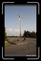 IMG_0074 * 566 x 910 * (217KB)