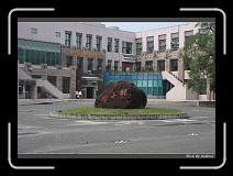 IMG_0247 * 850 x 608 * (240KB)