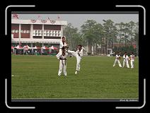 IMG_0264 * 850 x 608 * (241KB)