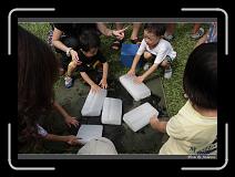 IMG_0273 * 850 x 608 * (249KB)