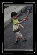 IMG_0489 * 566 x 910 * (232KB)