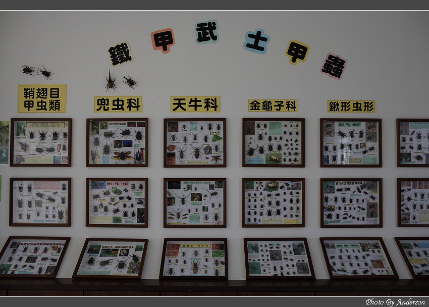 下一張幻燈片