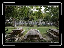 IMG_0597 * 850 x 608 * (246KB)
