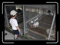 IMG_0605 * 850 x 608 * (244KB)