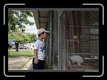 IMG_0608 * 850 x 608 * (247KB)