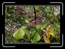 IMG_0617 * 850 x 608 * (240KB)