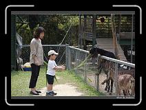 IMG_0618 * 850 x 608 * (249KB)
