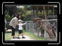 IMG_0624 * 850 x 608 * (241KB)