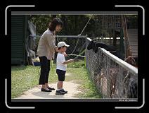 IMG_0628 * 850 x 608 * (237KB)