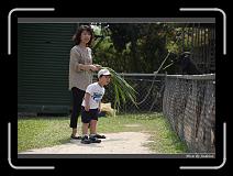 IMG_0630 * 850 x 608 * (230KB)