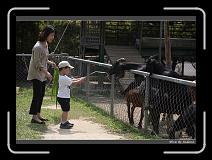IMG_0632 * 850 x 608 * (239KB)