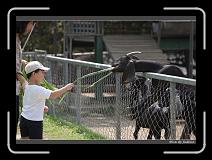 IMG_0633 * 850 x 608 * (244KB)