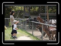 IMG_0634 * 850 x 608 * (247KB)