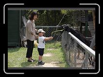 IMG_0635 * 850 x 608 * (247KB)