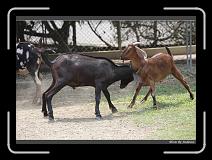 IMG_0639 * 850 x 608 * (237KB)