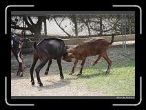IMG_0640 * 850 x 608 * (239KB)
