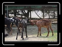 IMG_0642 * 850 x 608 * (236KB)