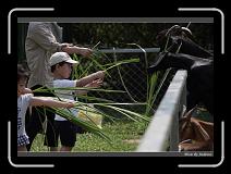 IMG_0646 * 850 x 608 * (239KB)