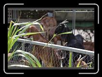 IMG_0650 * 850 x 608 * (229KB)