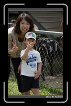 IMG_0652 * 566 x 910 * (233KB)