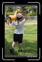 IMG_0658 * 566 x 910 * (247KB)