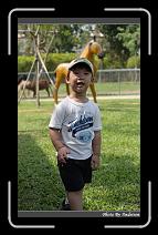 IMG_0664 * 566 x 910 * (240KB)