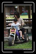 IMG_0692 * 566 x 910 * (230KB)