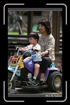 IMG_0694 * 566 x 910 * (239KB)