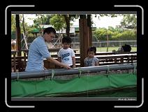 IMG_0869 * 850 x 608 * (244KB)