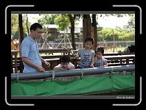IMG_0876 * 850 x 608 * (250KB)