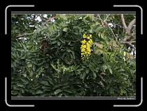 IMG_0907 * 850 x 608 * (243KB)