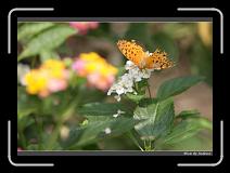 IMG_0920 * 850 x 608 * (243KB)