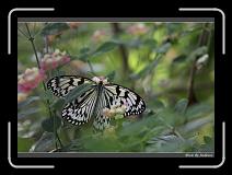 IMG_0927 * 850 x 608 * (229KB)