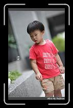 IMG_1027 * 566 x 910 * (246KB)