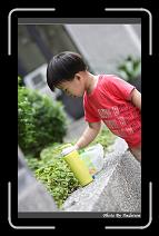 IMG_1037 * 566 x 910 * (223KB)