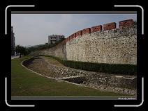 IMG_1329 * 850 x 608 * (248KB)