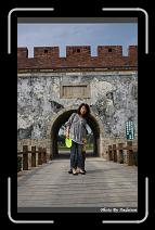 IMG_1331 * 566 x 910 * (239KB)