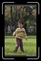 IMG_1354 * 566 x 910 * (232KB)