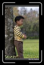 IMG_1363 * 566 x 910 * (237KB)