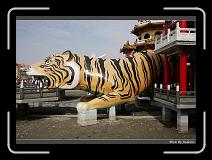 IMG_1423 * 850 x 608 * (242KB)