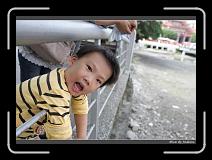 IMG_1428 * 850 x 608 * (237KB)