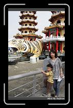 IMG_1433 * 566 x 910 * (242KB)