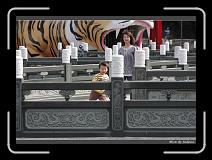IMG_1443 * 850 x 608 * (233KB)