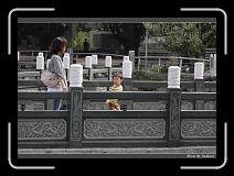 IMG_1447 * 850 x 608 * (238KB)