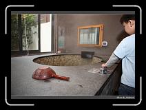 IMG_1627 * 850 x 608 * (248KB)