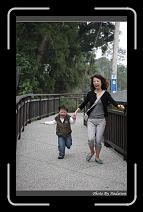 IMG_1664 * 566 x 910 * (242KB)