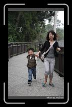 IMG_1665 * 566 x 910 * (239KB)