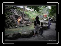 IMG_1694 * 850 x 608 * (246KB)