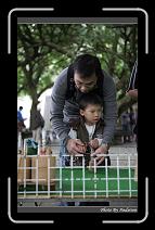 IMG_1729 * 566 x 910 * (233KB)